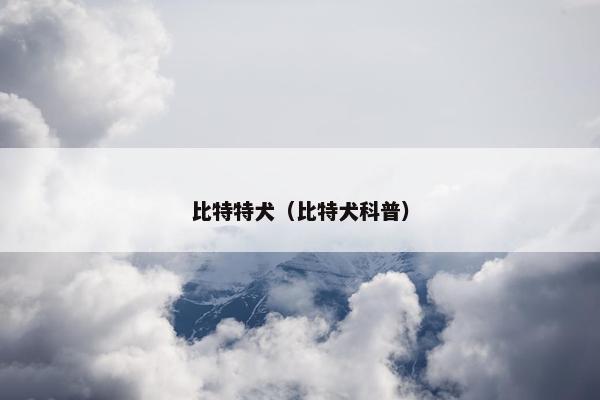 比特特犬（比特犬科普）