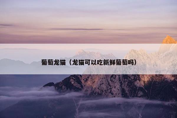 葡萄龙猫（龙猫可以吃新鲜葡萄吗）