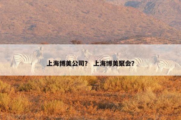 办公