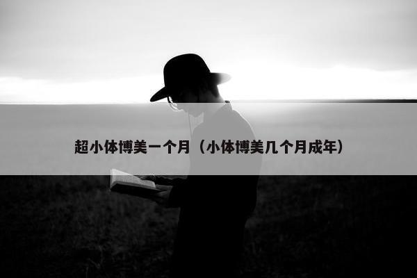 超小体博美一个月（小体博美几个月成年）