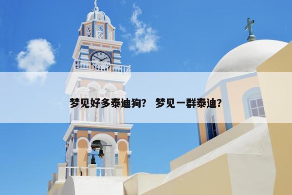 梦见好多泰迪狗？ 梦见一群泰迪？