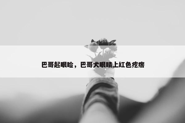 巴哥起眼睑，巴哥犬眼睛上红色疙瘩