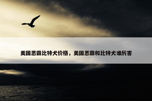 美国恶霸比特犬价格，美国恶霸和比特犬谁厉害