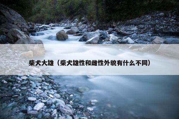 塞尔达
