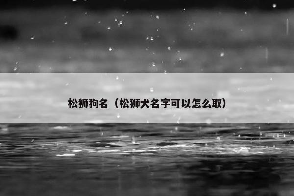 松狮狗名（松狮犬名字可以怎么取）
