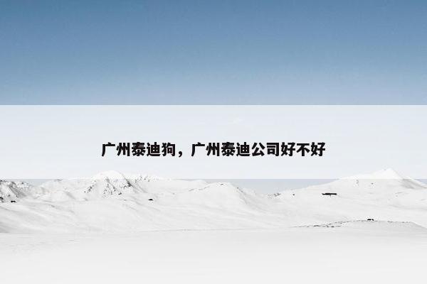 广州泰迪狗，广州泰迪公司好不好