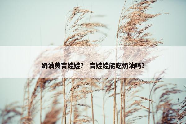 奶油黄吉娃娃？ 吉娃娃能吃奶油吗？