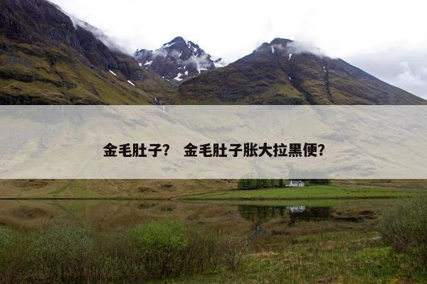 金毛肚子？ 金毛肚子胀大拉黑便？