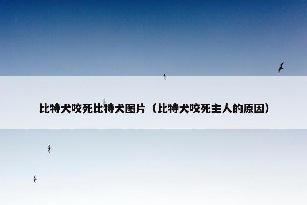 比特犬咬死比特犬图片（比特犬咬死主人的原因）
