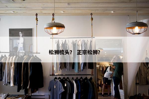 松狮梳头？ 正宗松狮？