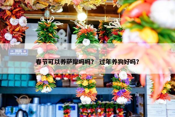 春节可以养萨摩吗吗？ 过年养狗好吗？