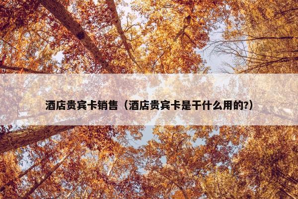 酒店贵宾卡销售（酒店贵宾卡是干什么用的?）