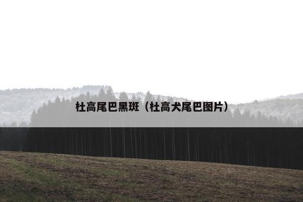 杜高尾巴黑斑（杜高犬尾巴图片）