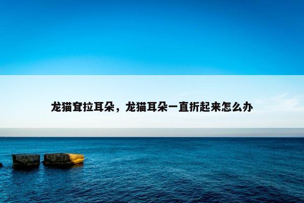 龙猫耷拉耳朵，龙猫耳朵一直折起来怎么办