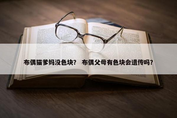 布偶猫爹妈没色块？ 布偶父母有色块会遗传吗？