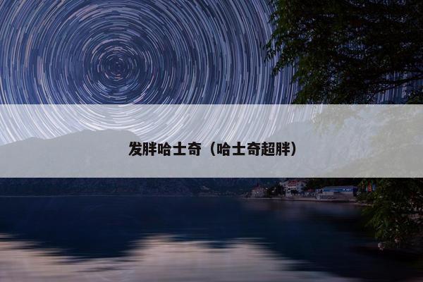 发胖哈士奇（哈士奇超胖）