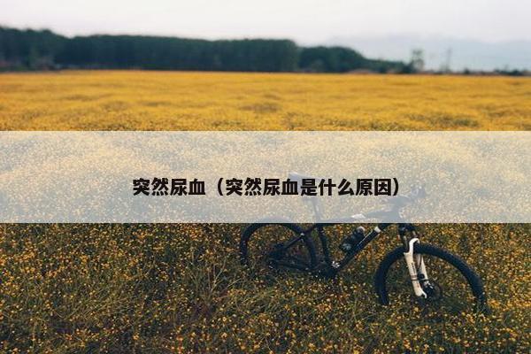 突然尿血（突然尿血是什么原因）