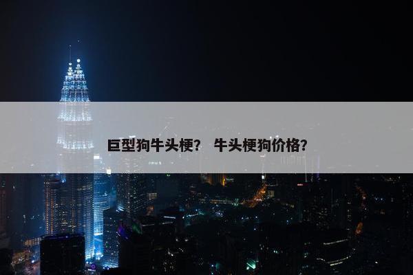 巨型狗牛头梗？ 牛头梗狗价格？