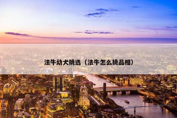 法牛幼犬挑选（法牛怎么挑品相）