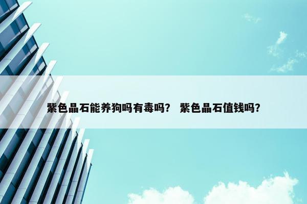 紫水晶