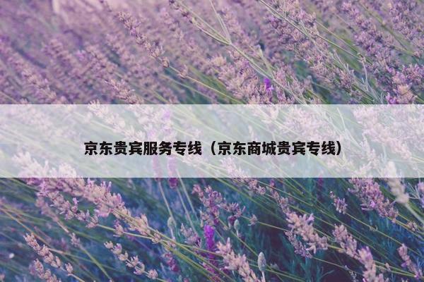 京东贵宾服务专线（京东商城贵宾专线）