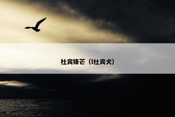 仁杰