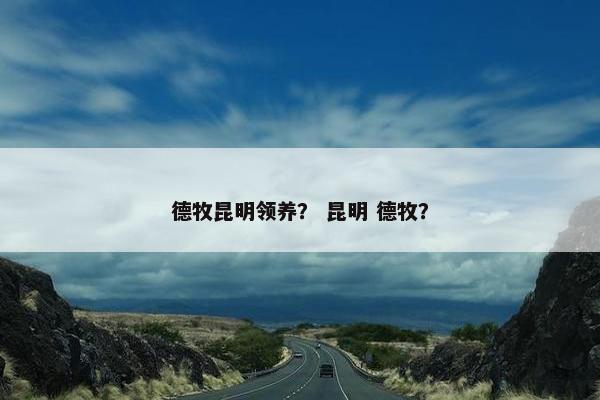 德牧昆明领养？ 昆明 德牧？