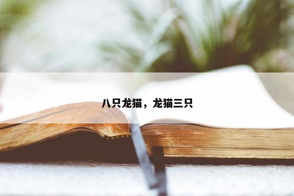 四毛
