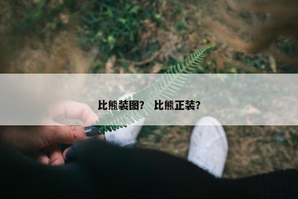 比熊装图？ 比熊正装？