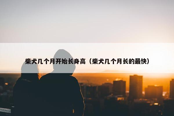 柴犬几个月开始长身高（柴犬几个月长的最快）