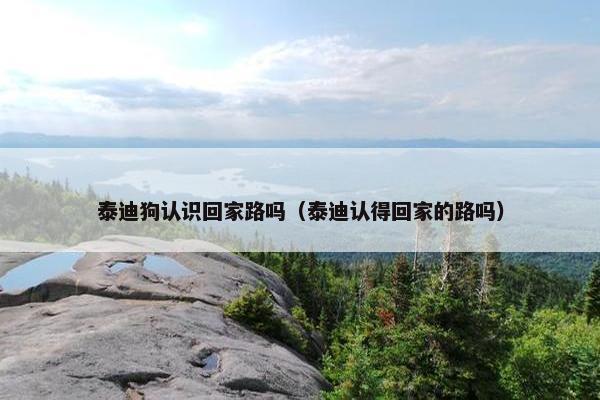 泰迪狗认识回家路吗（泰迪认得回家的路吗）