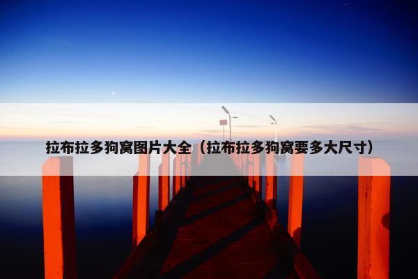 拉布拉多狗窝图片大全（拉布拉多狗窝要多大尺寸）