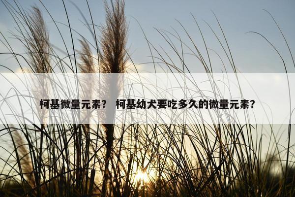柯基微量元素？ 柯基幼犬要吃多久的微量元素？