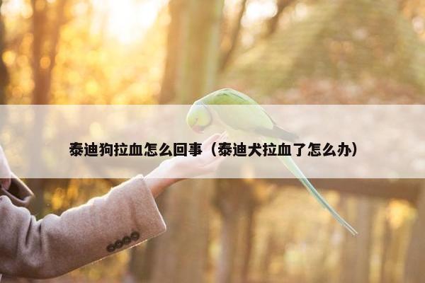 肠道 第2页