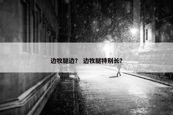 边牧腿边？ 边牧腿特别长？