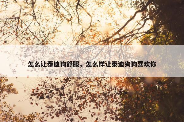 怎么让泰迪狗舒服,怎么样让泰迪狗狗喜欢你