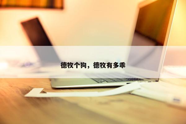 德牧个狗，德牧有多乖