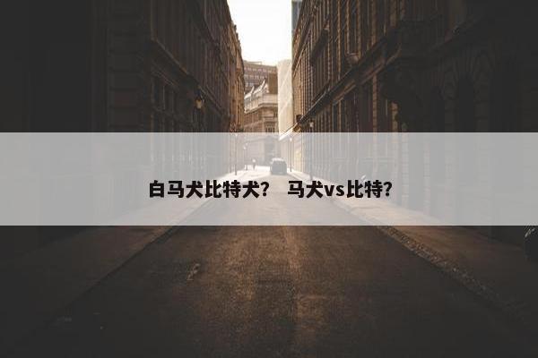 白马犬比特犬? 马犬vs比特?