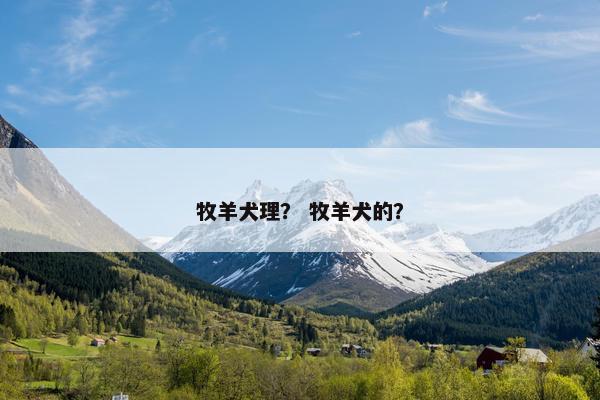 牧羊犬理？ 牧羊犬的？