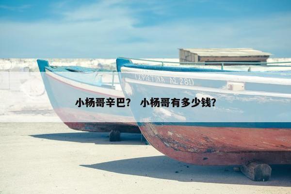 小杨