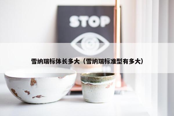 雪纳瑞标体长多大（雪纳瑞标准型有多大）