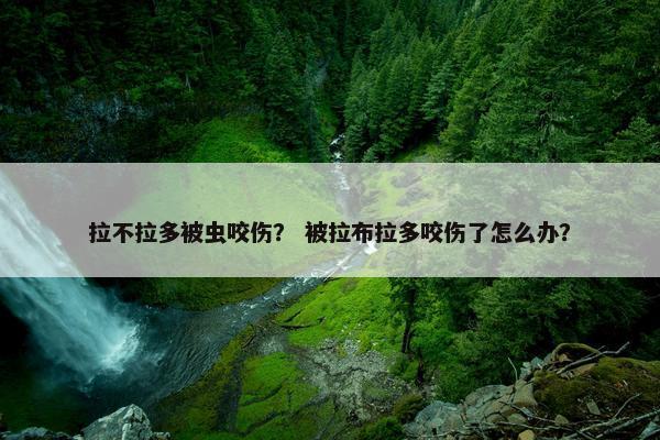 口器