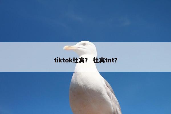 tiktok杜宾？ 杜宾tnt？
