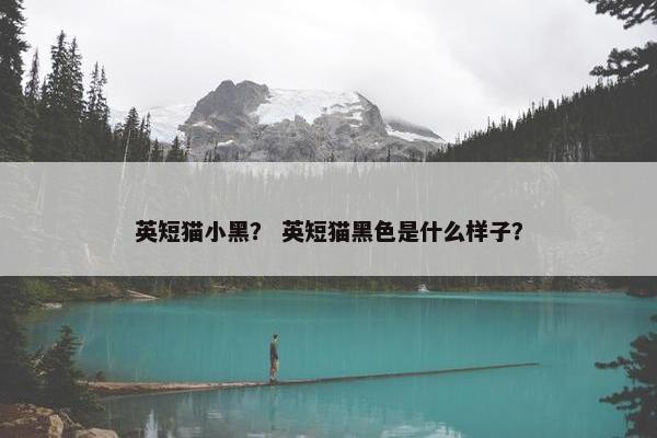 英短猫小黑? 英短猫黑色是什么样子?
