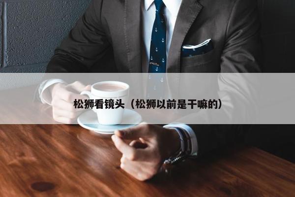 松狮看镜头（松狮以前是干嘛的）