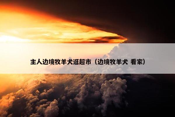 适应力