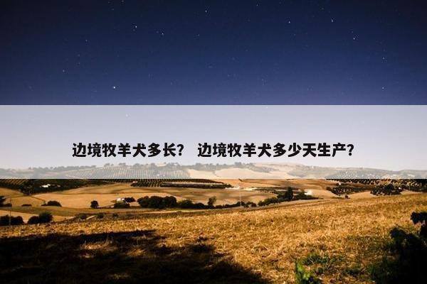边境牧羊犬多长？ 边境牧羊犬多少天生产？