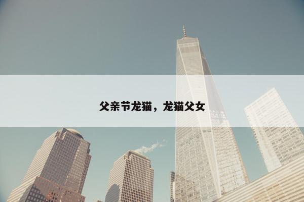 父亲节龙猫，龙猫父女
