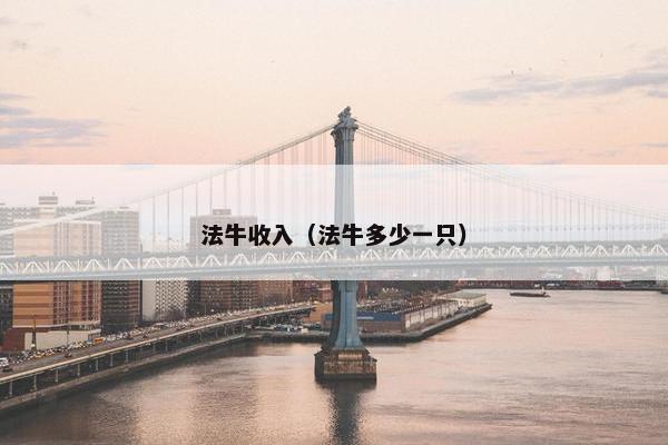 法牛收入（法牛多少一只）