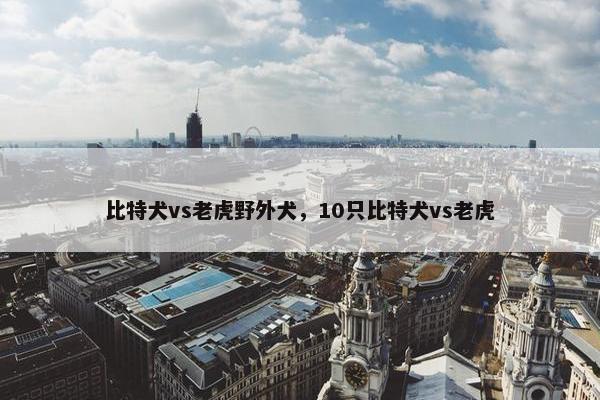 比特犬vs老虎野外犬，10只比特犬vs老虎